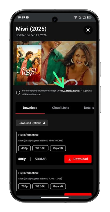 Multilingual Subtitles Support